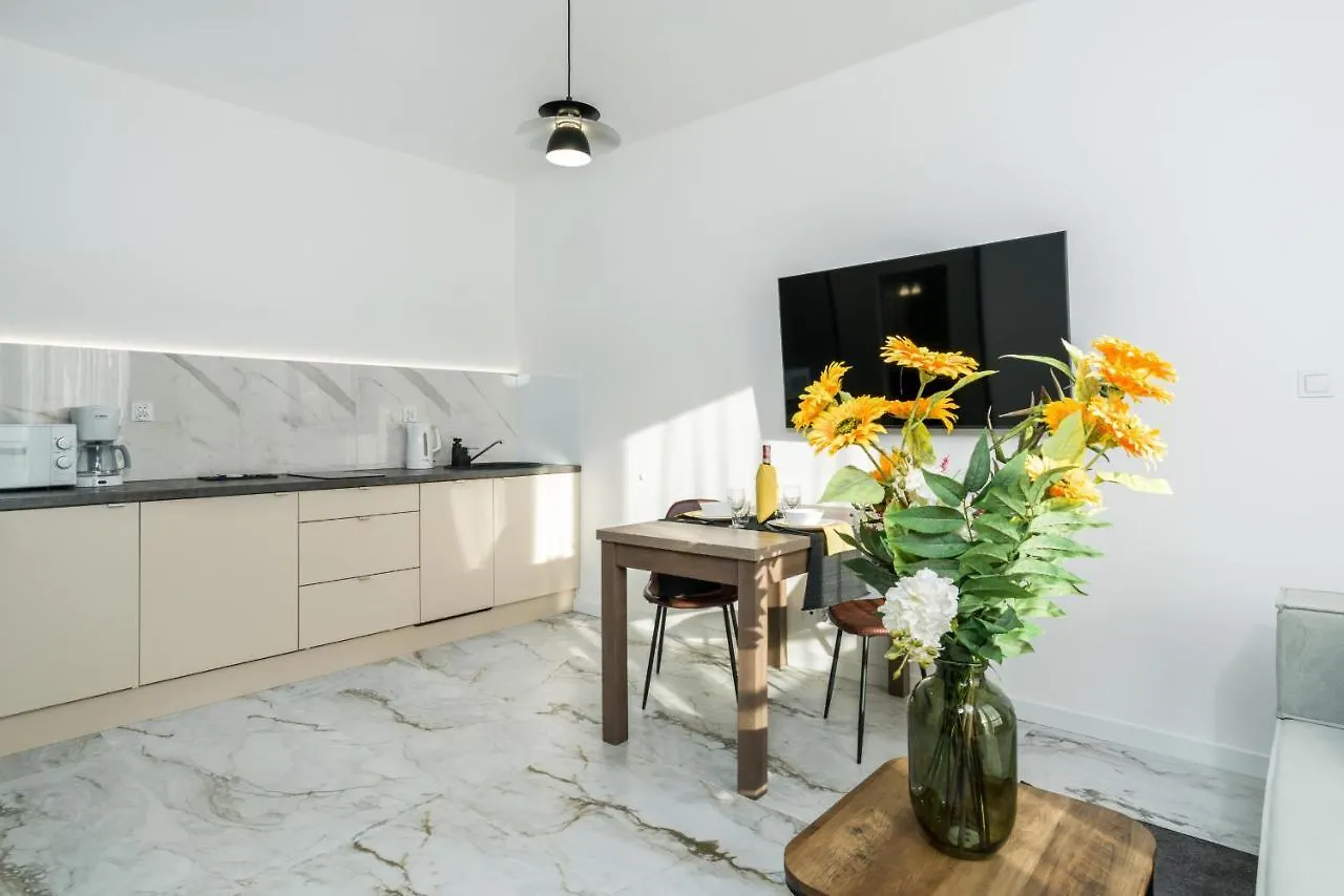 Apartments Poznan Chwaliszewo Residence With Free Garage By Noclegi Renters